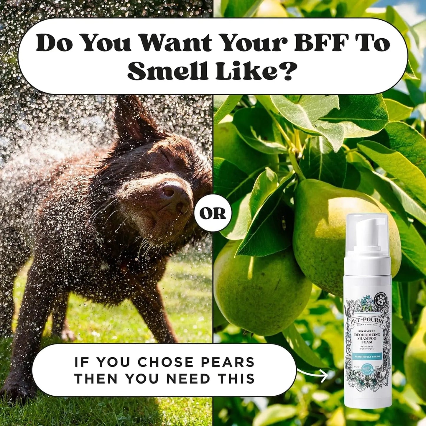 Plant Based Foam Deodorizing Pet Dry Shampoo