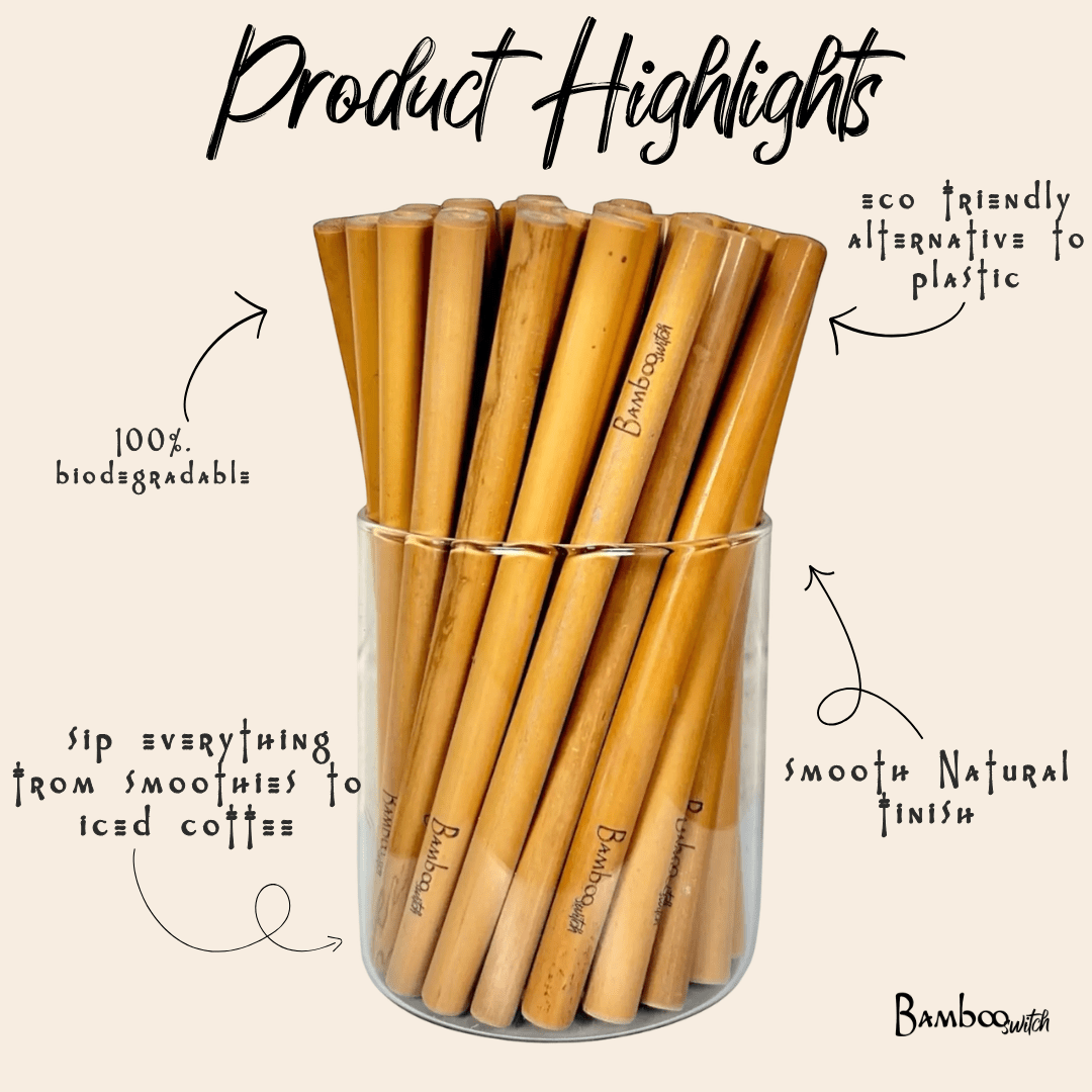 Organic Bamboo Straws (10 pack) & Coconut Fiber Straw Cleaner