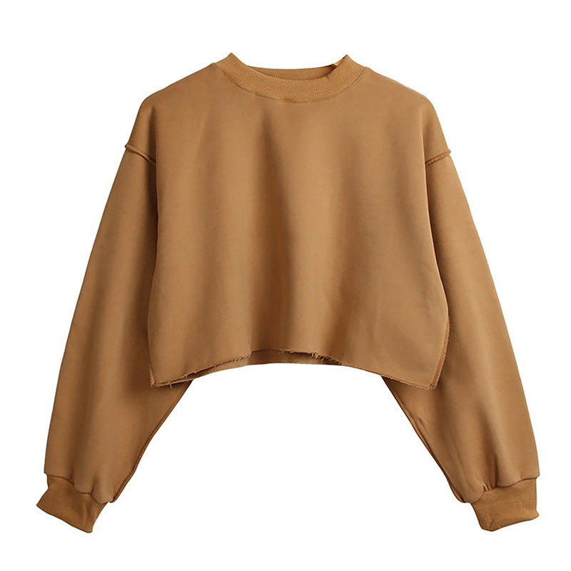 Fleece Lined Cropped Long Sleeved Fitness Top