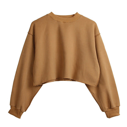 Fleece Lined Cropped Long Sleeved Fitness Top