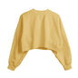 Fleece Lined Cropped Long Sleeved Fitness Top