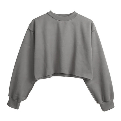 Fleece Lined Cropped Long Sleeved Fitness Top