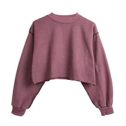 Fleece Lined Cropped Long Sleeved Fitness Top