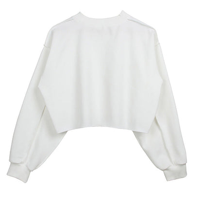 Fleece Lined Cropped Long Sleeved Fitness Top