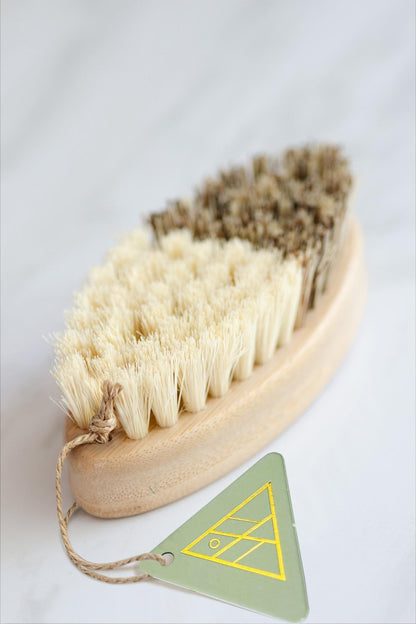 CASA AGAVE® Duo Tone Vegetable Brush | General Cleaning