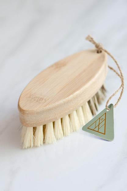 CASA AGAVE® Duo Tone Vegetable Brush | General Cleaning