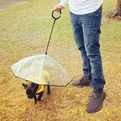 Umbrella for Small Pets