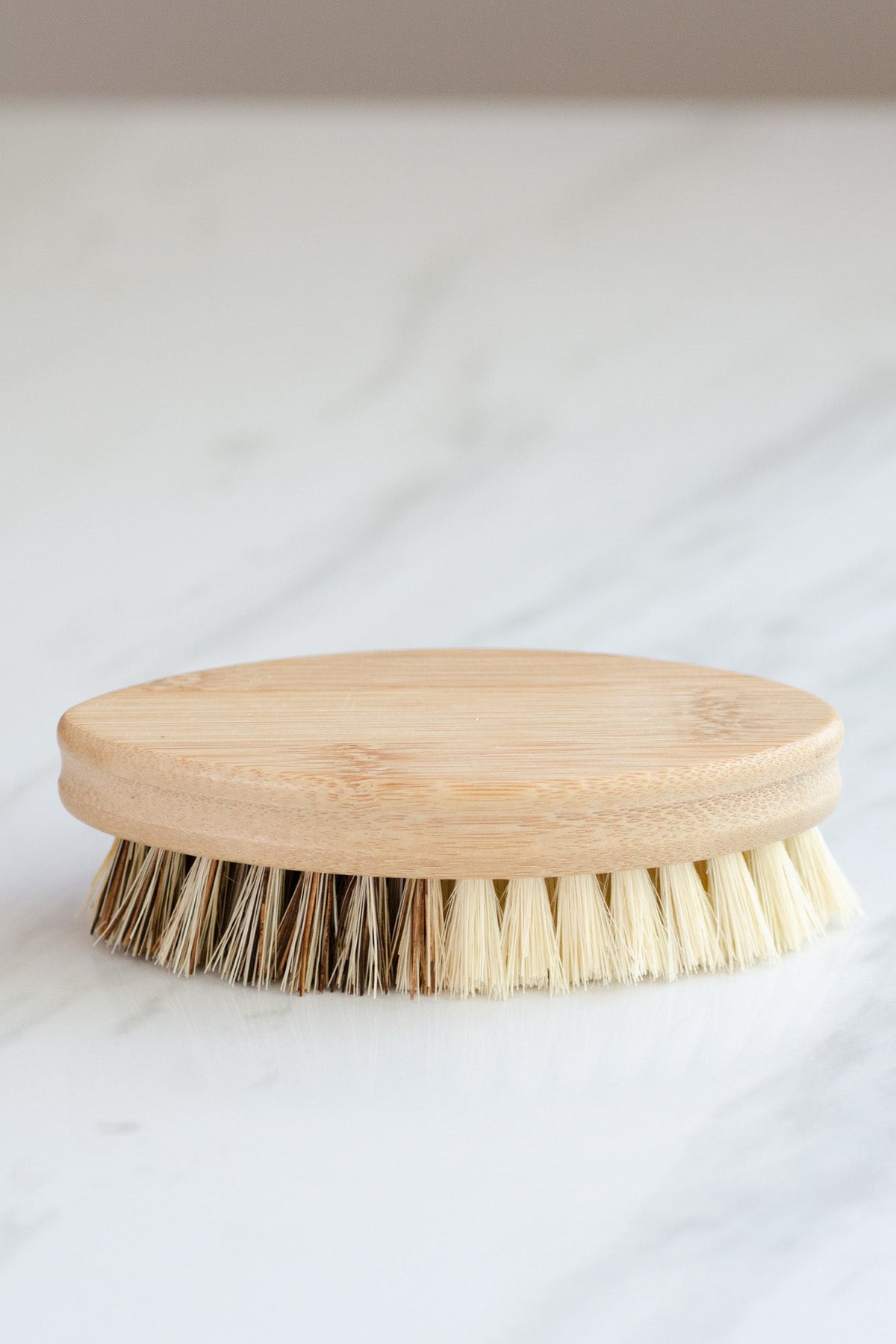 CASA AGAVE® Duo Tone Vegetable Brush | General Cleaning