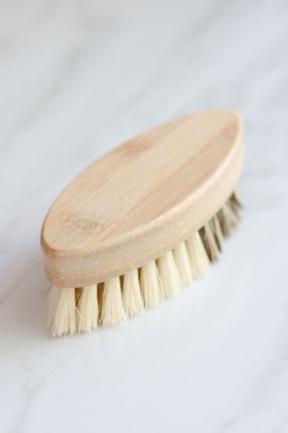 CASA AGAVE® Duo Tone Vegetable Brush | General Cleaning