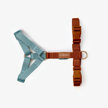 Blue and Clay - Dog Harness