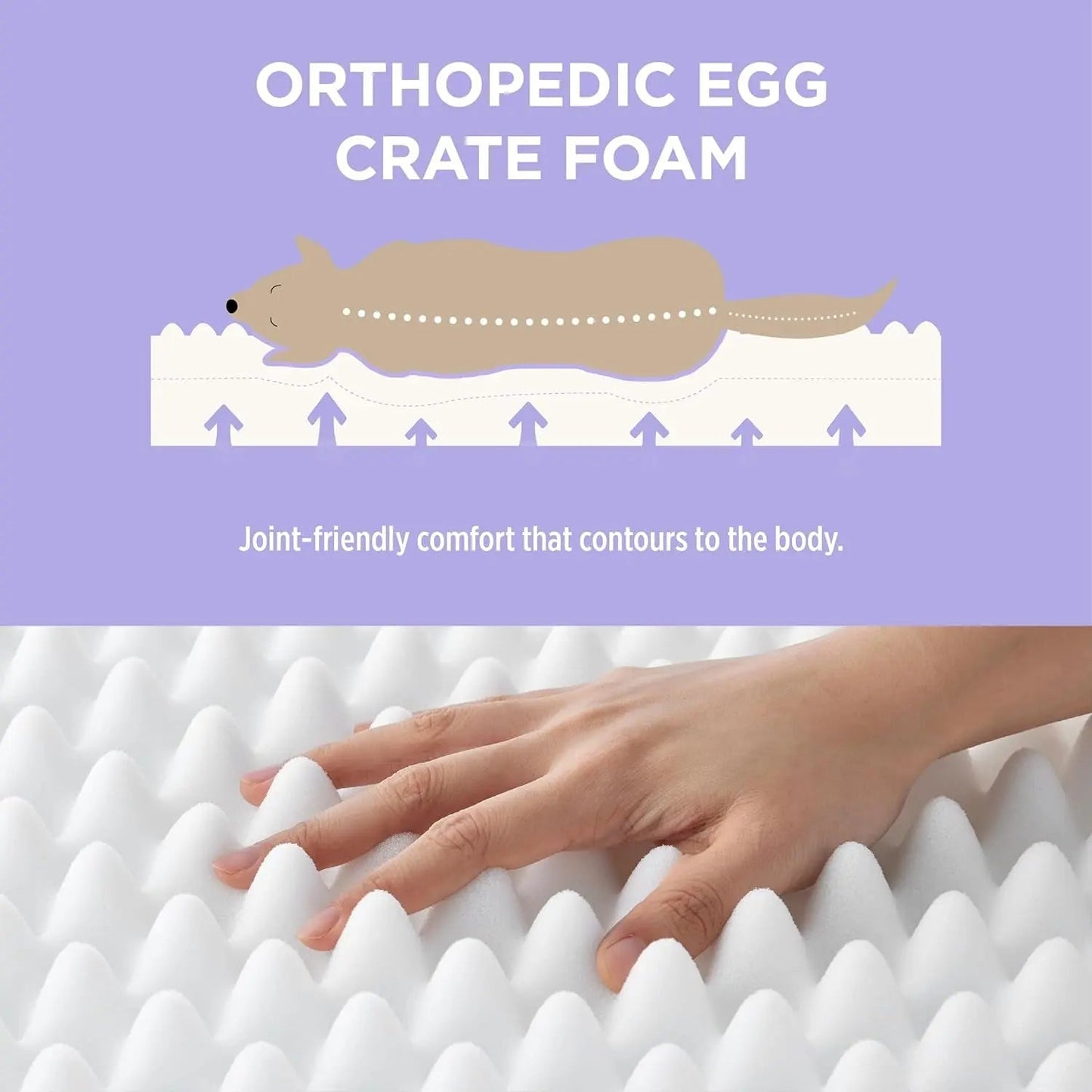 Orthopedic Waterproof Dog Bed