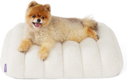 Orthopedic Waterproof Dog Bed