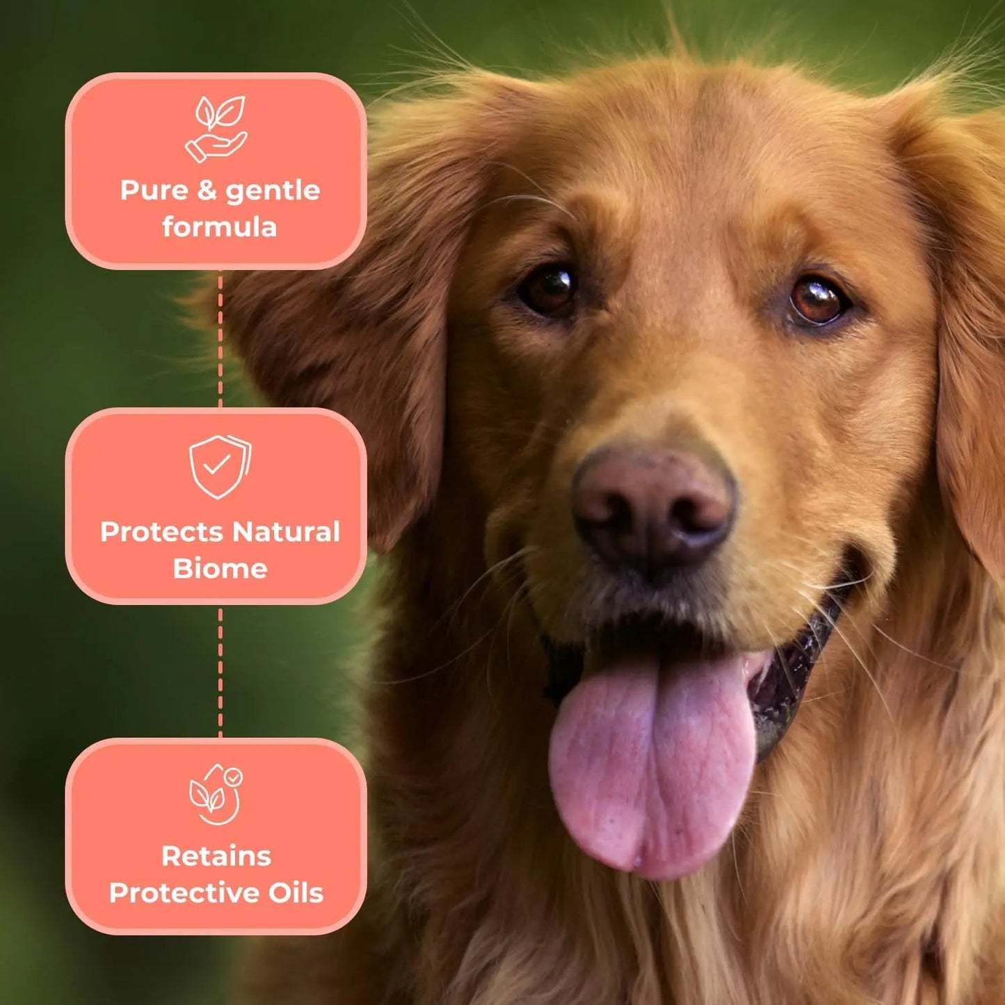 Paw Licker Yeast Relief Bundle