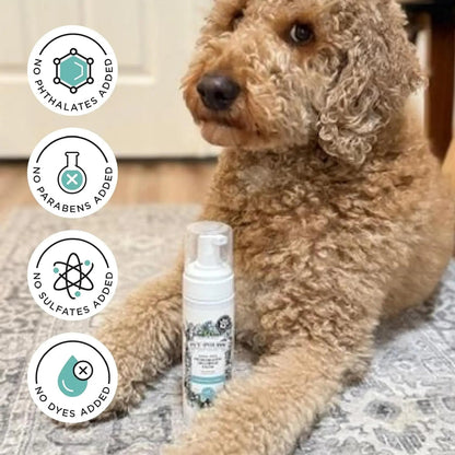 Plant Based Foam Deodorizing Pet Dry Shampoo