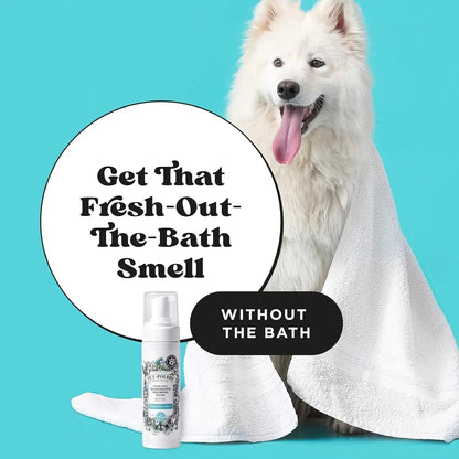 Plant Based Foam Deodorizing Pet Dry Shampoo