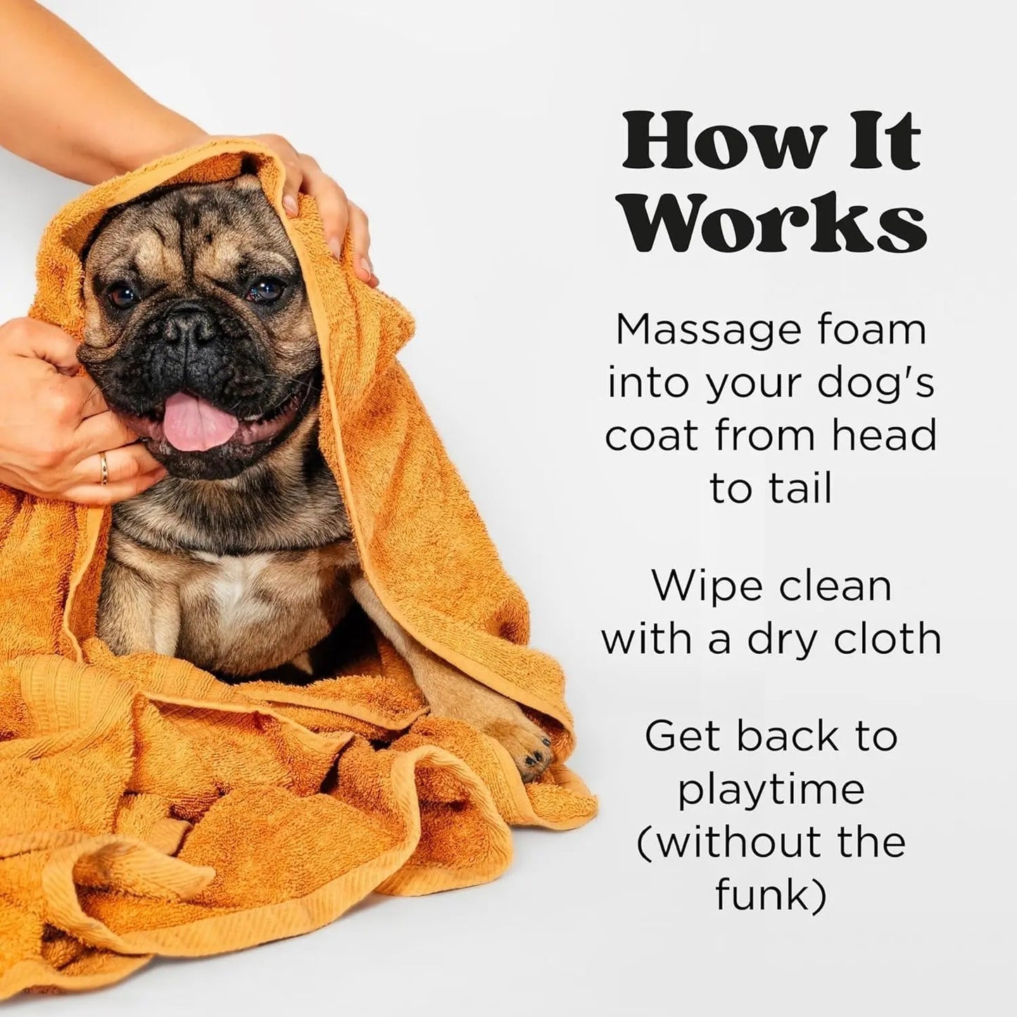 Plant Based Foam Deodorizing Pet Dry Shampoo