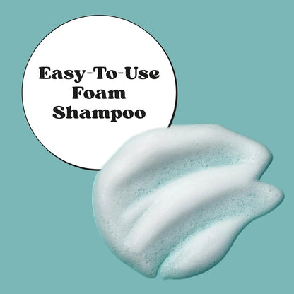 Plant Based Foam Deodorizing Pet Dry Shampoo