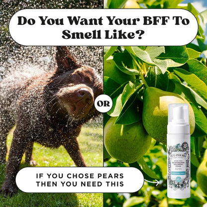Plant Based Foam Deodorizing Pet Dry Shampoo