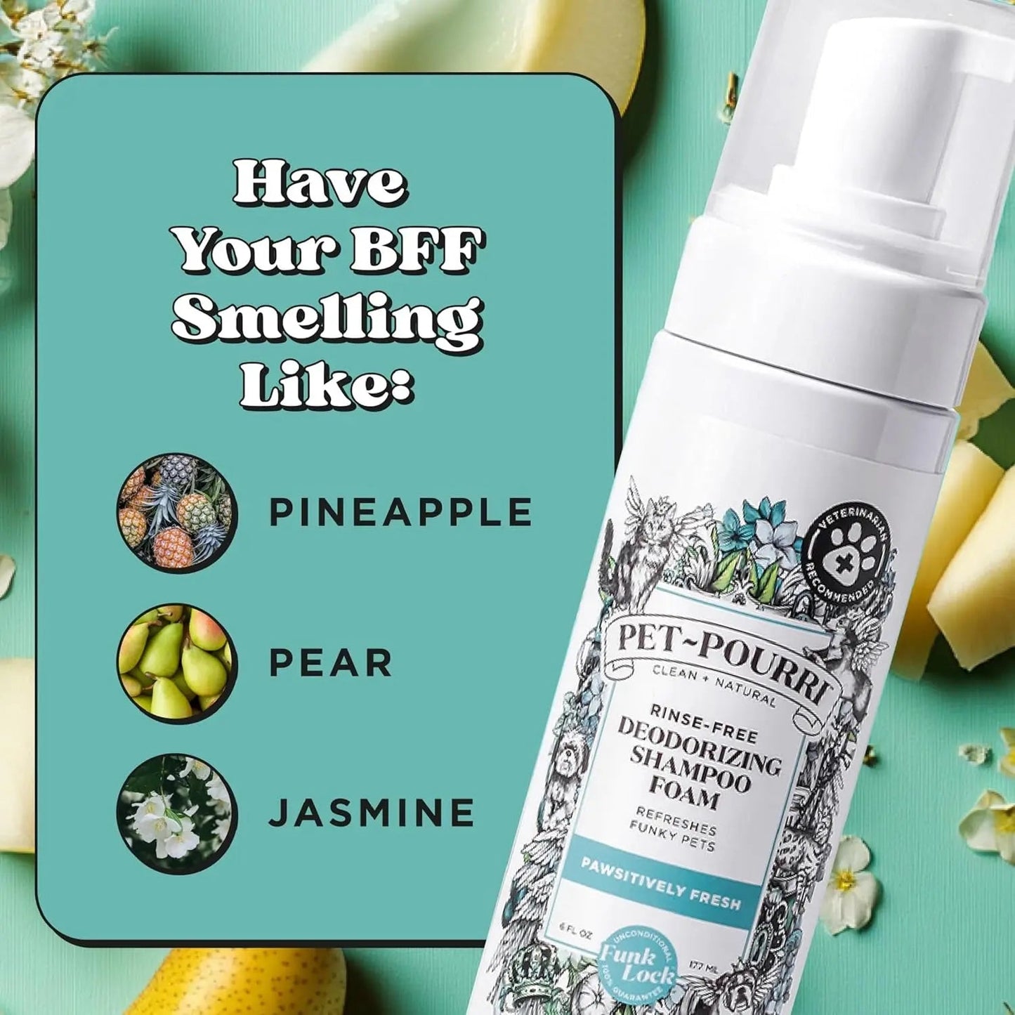 Plant Based Foam Deodorizing Pet Dry Shampoo