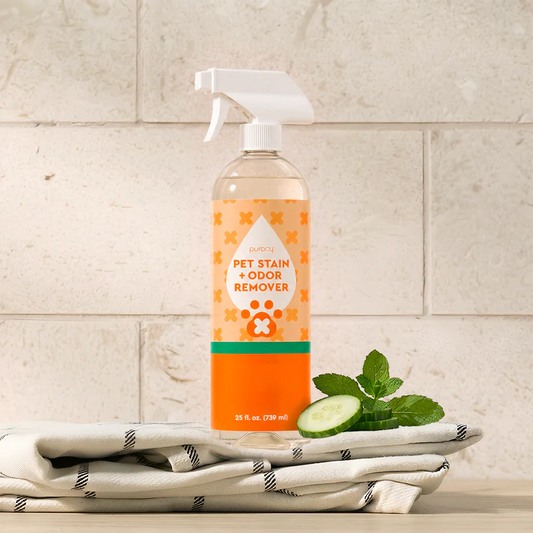 Puracy Pet Stain & Odor Remover