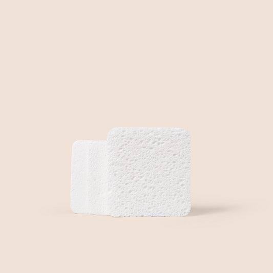 Soak Sponge