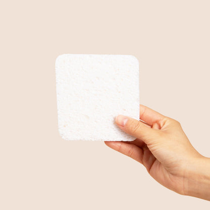 Soak Sponge