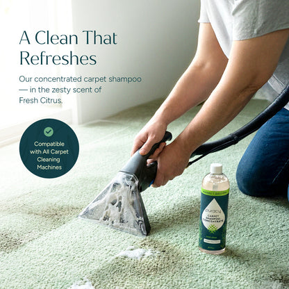 Puracy Carpet & Upholstery Shampoo