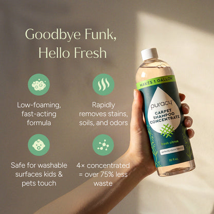 Puracy Carpet & Upholstery Shampoo