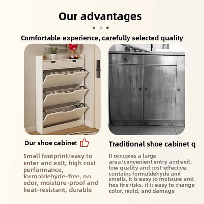 Entry shoe rack/cabinet