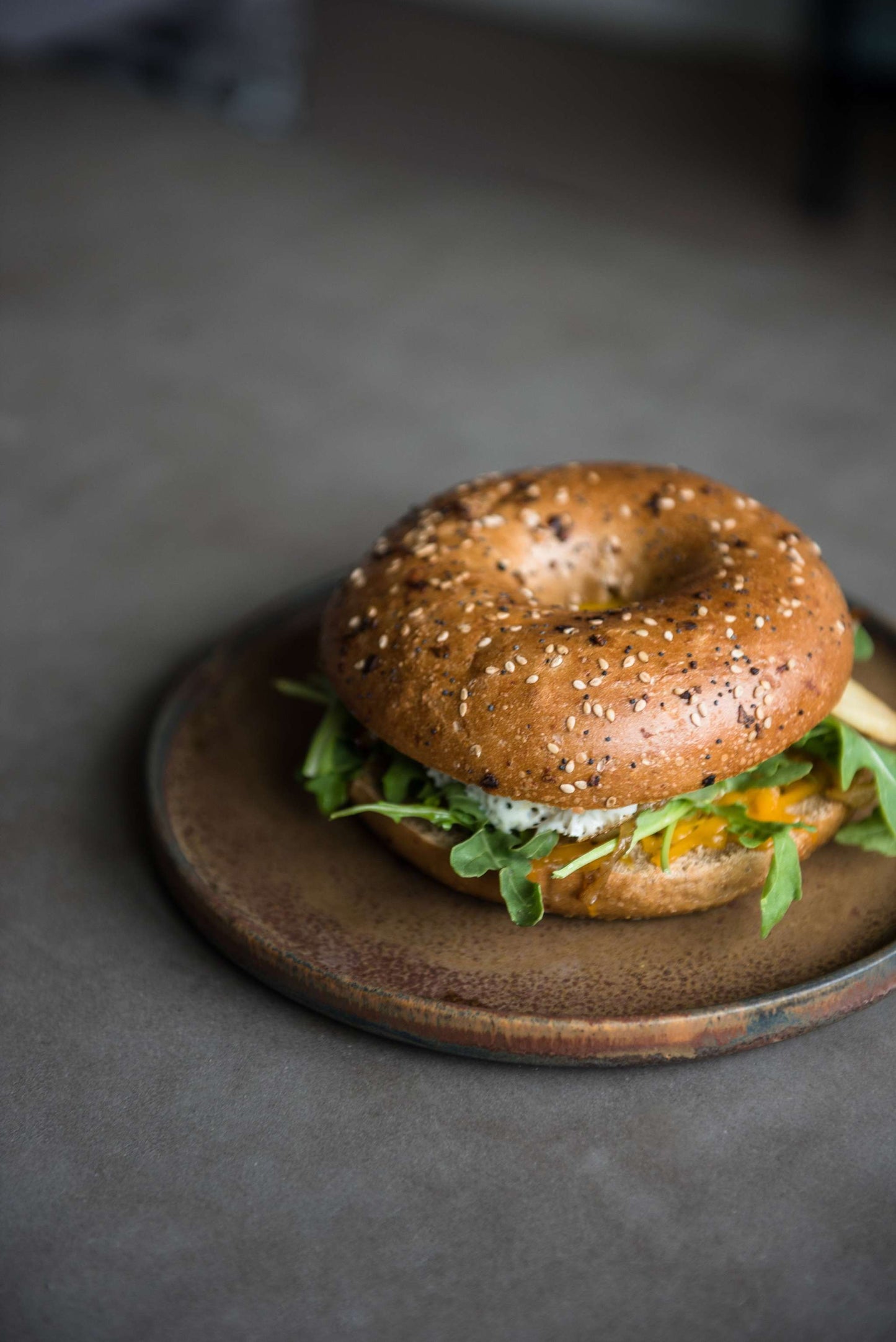 Rust - Stoneware Dinner Plates