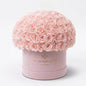 Supreme Light Pink Suede Superdome Box | Light Pink Roses