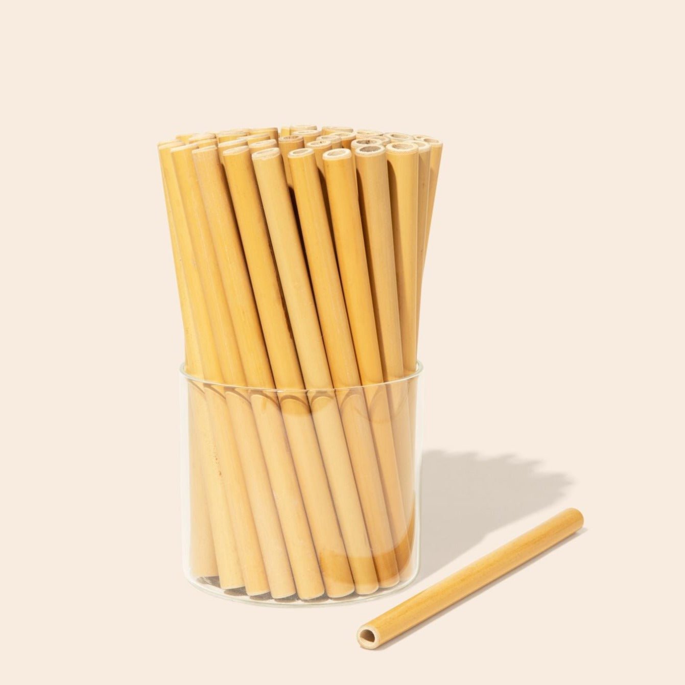 Organic Bamboo Straws (10 pack) & Coconut Fiber Straw Cleaner