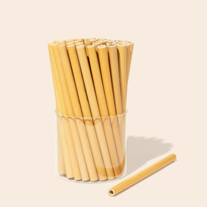 Organic Bamboo Straws (10 pack) & Coconut Fiber Straw Cleaner