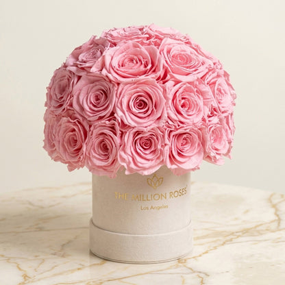 Essence Beige Suede Superdome Box | Light Pink Roses