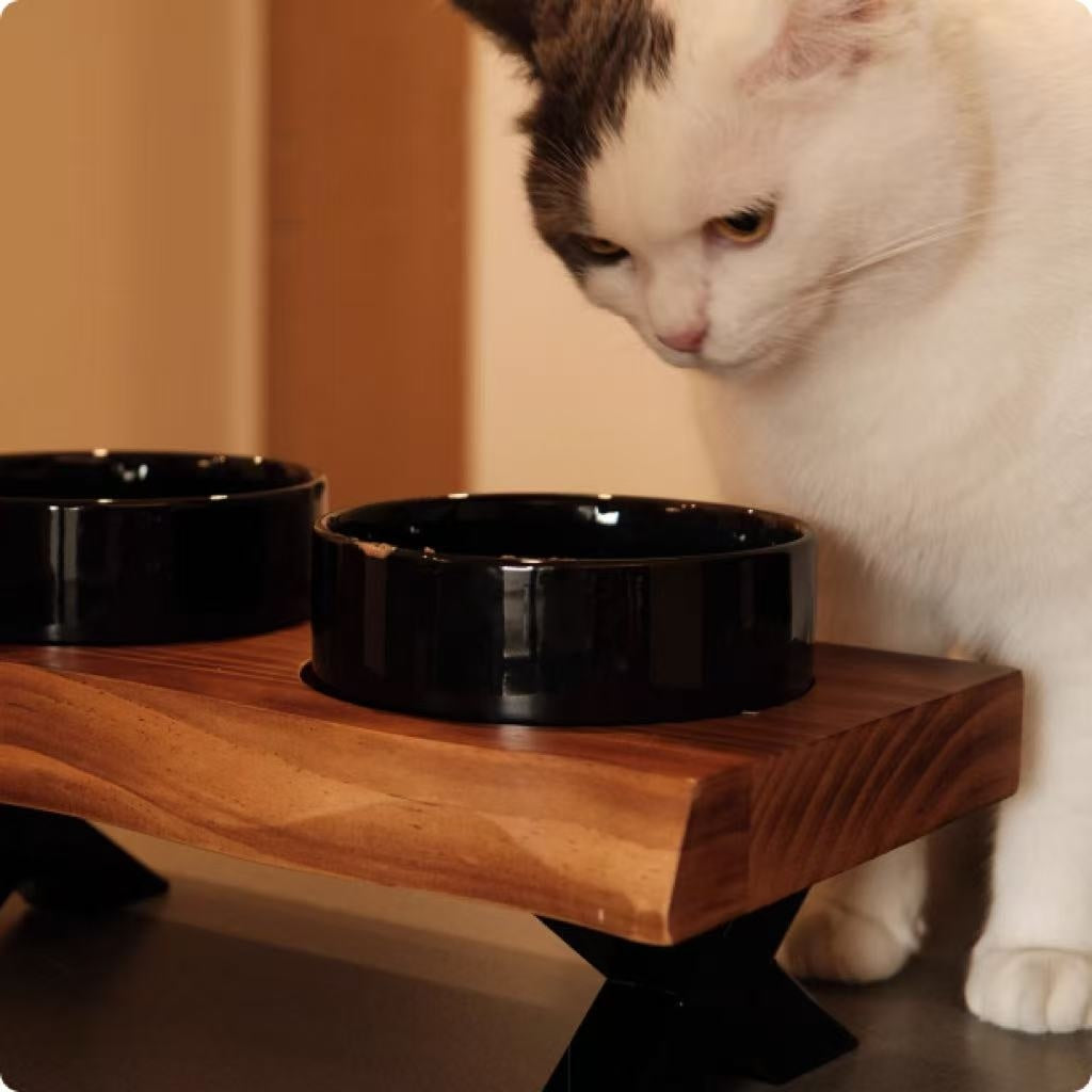 Wooden Frame Ceramic Pet Bowl