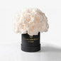 Essence Black Superdome Box | White Roses
