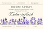 Essential oil room & linen spray