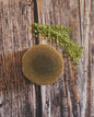 Goats milk facial bars