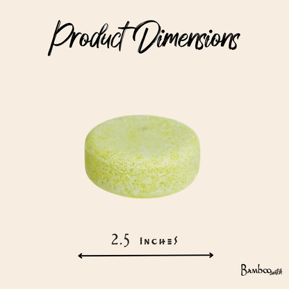 Shampoo Bar | Mint